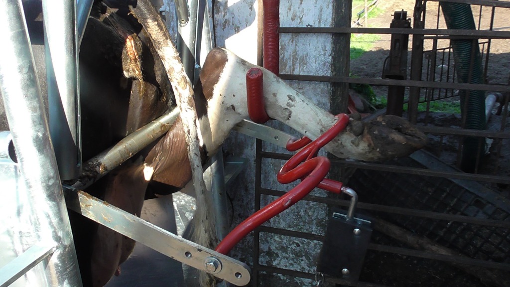 Poskrom do korekcji racic Elektryczno-Hydrauliczny
