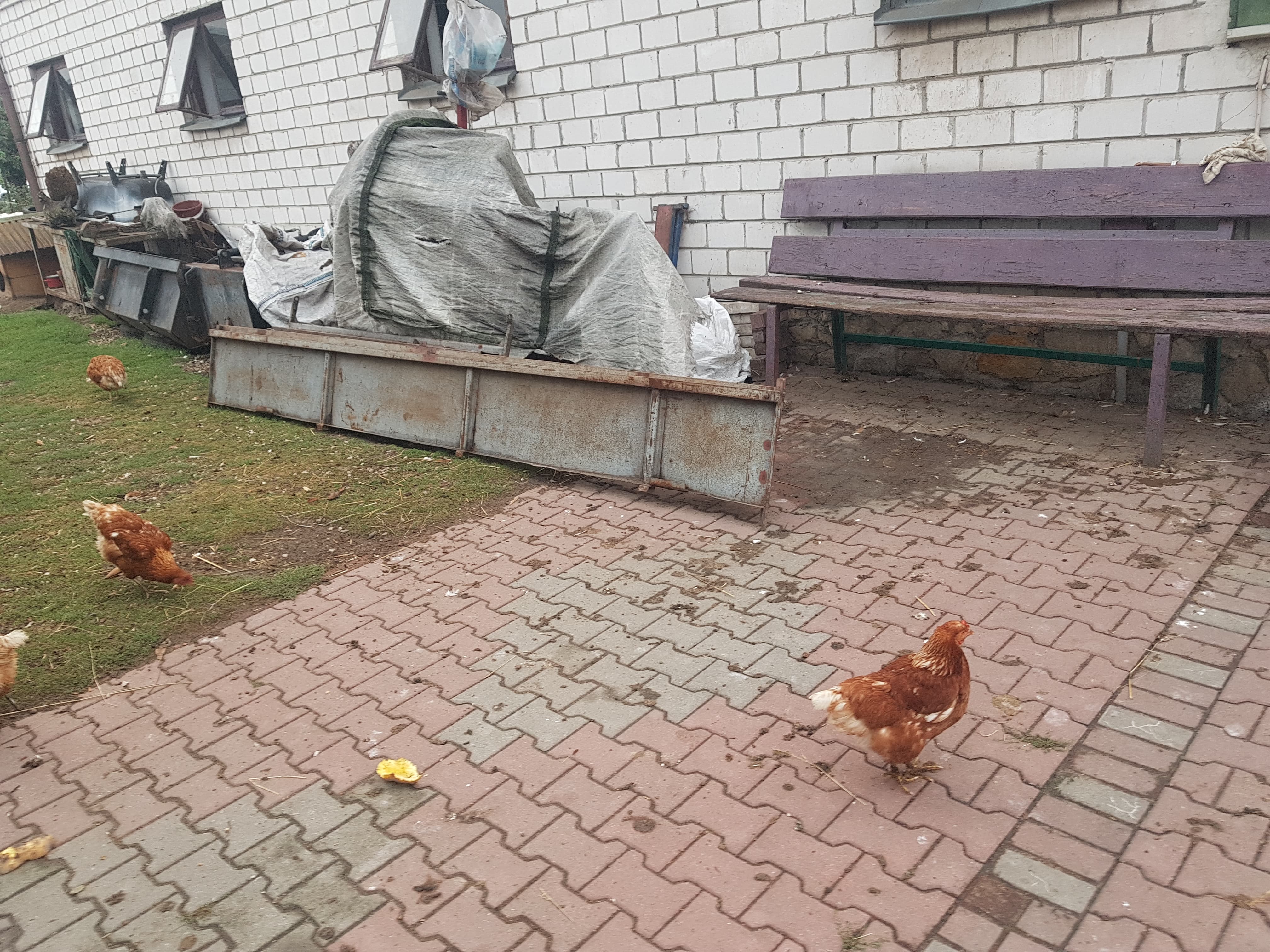 Rozrzutnik obornika stan idealny