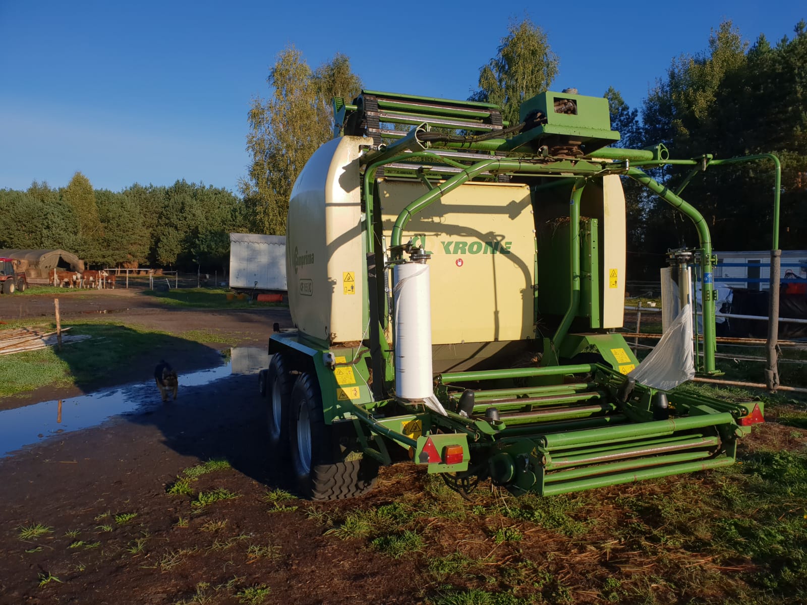 Prasa Krone 